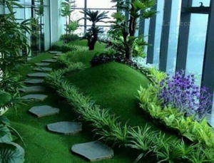 Cỏ trang trí tại Vinh